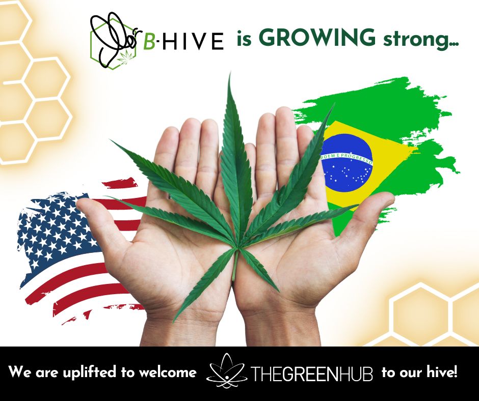 The Green Hub Joins B-HIVE Cannabis Venture Group